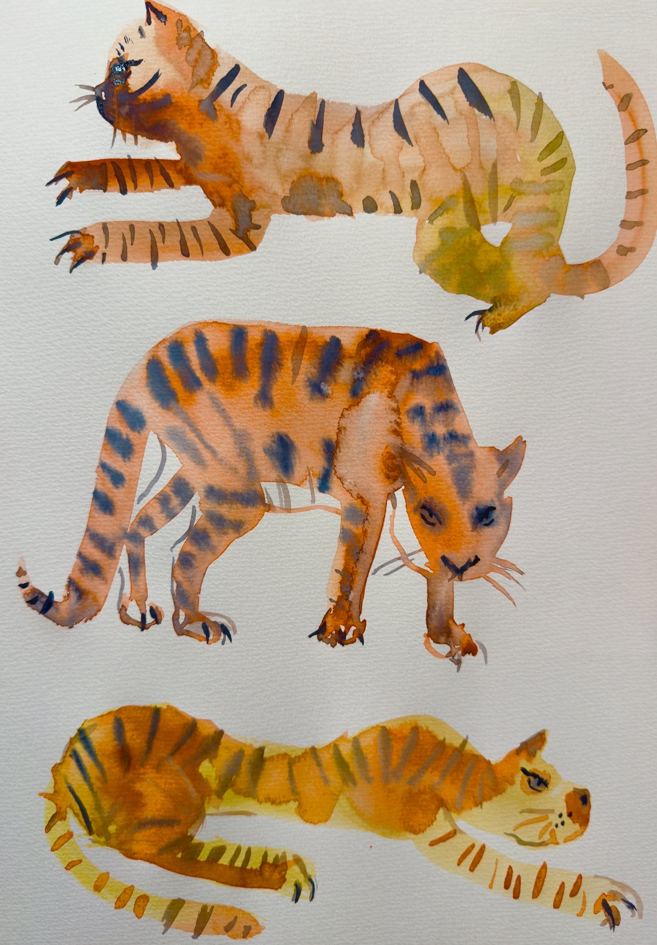 Tigers Print