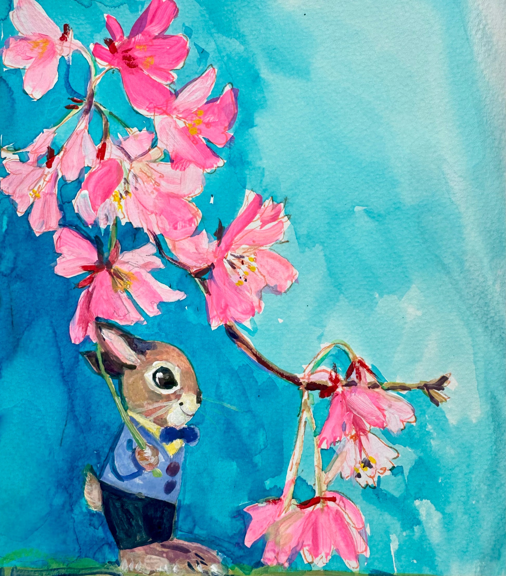 Spring bunny