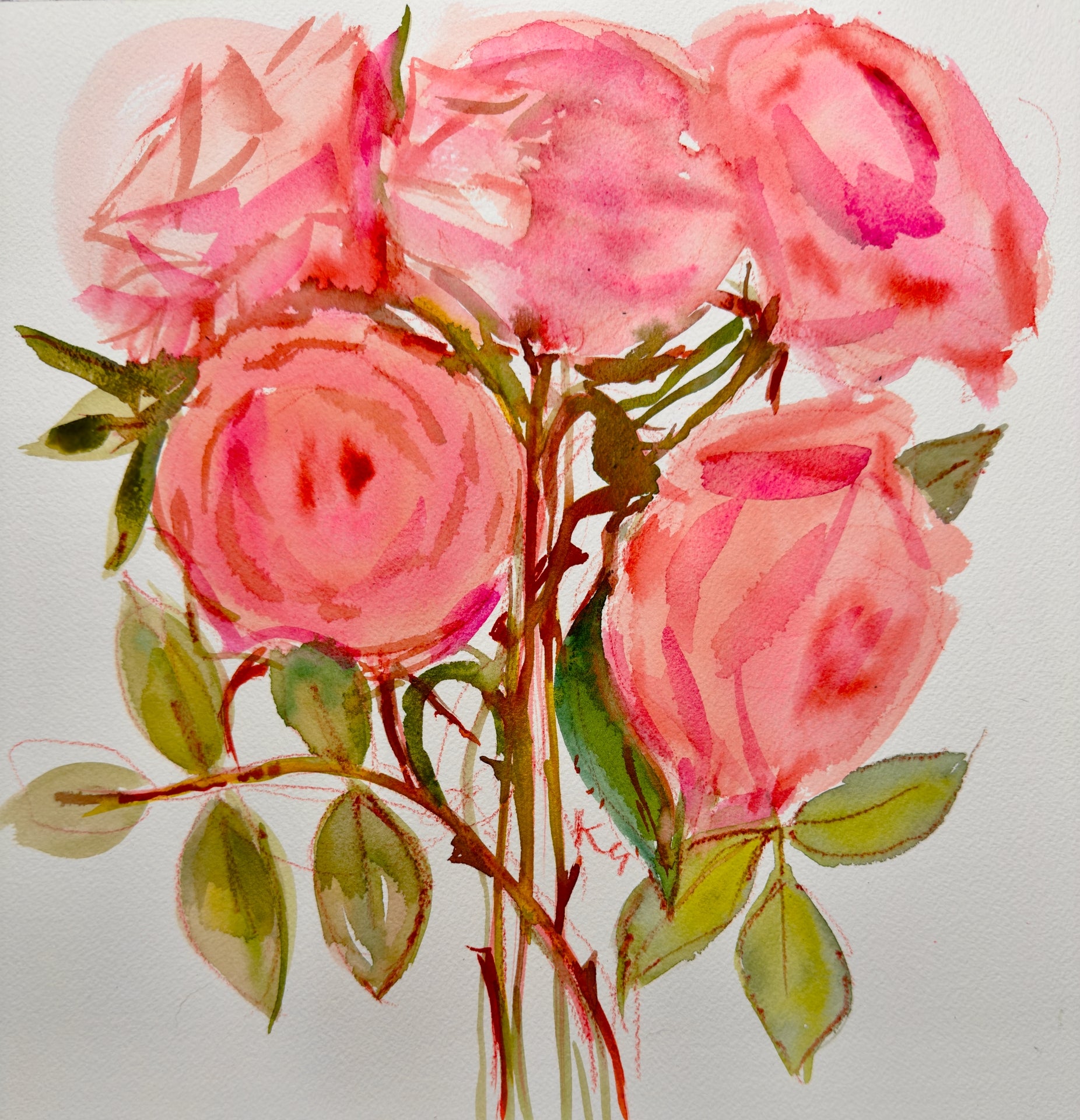 Pink roses original