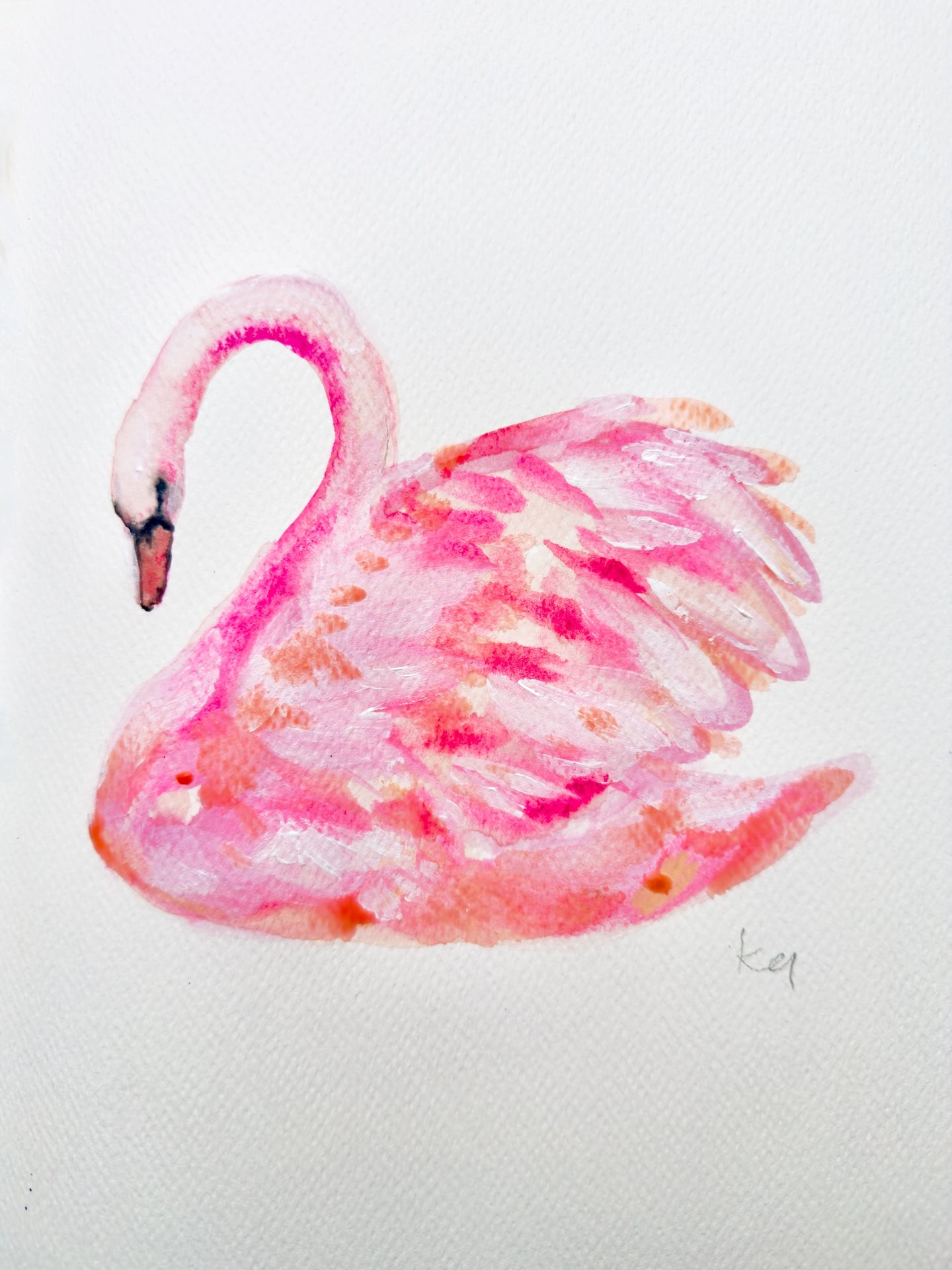 Pink Swan Print