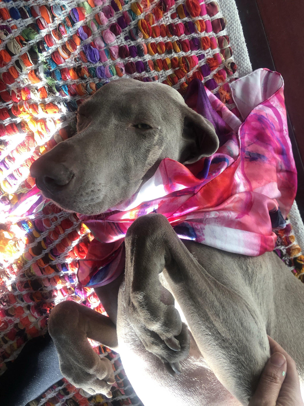 Marilyn Silk scarf - Kyra Kendall 